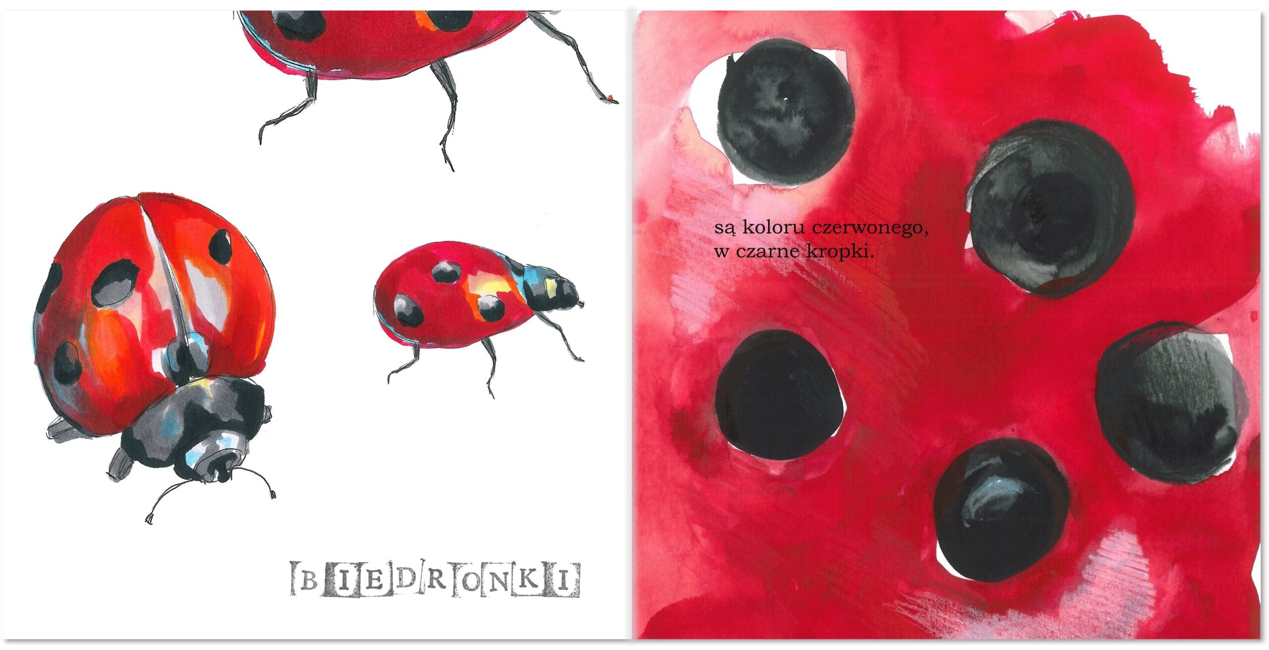 "O robaczkach popularnych i innych" Agata Wronka - obrazek 2