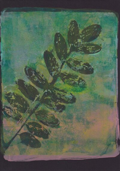 Formy roślinne 4 - Agata Wronka