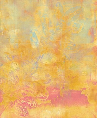 Formy roślinne 7 - Agata Wronka